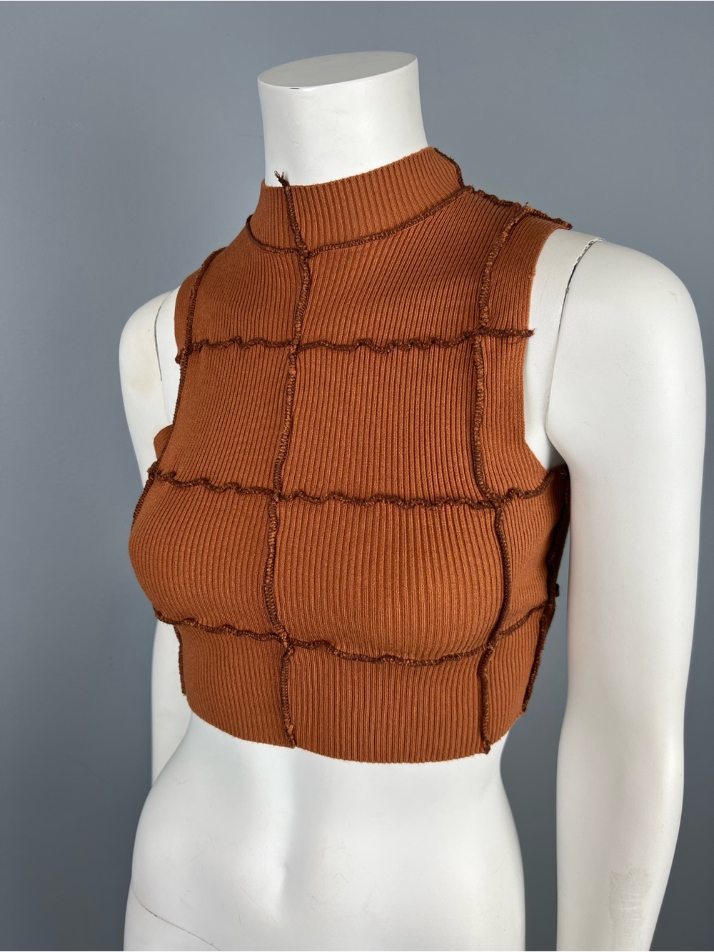 Garage Ribbed Mock Neck Crop Top in Rust - Picture 2 of 5